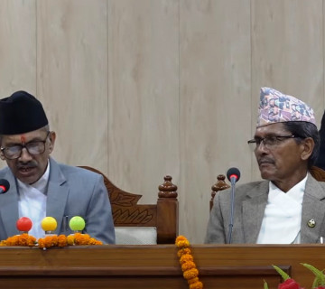 सुदूरपश्चिमको नीति तथा कार्यक्रम : काठ निर्यातदेखि जडिबुटी प्रशोधनसम्म (पूर्णपाठ सहित)